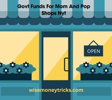 Govt Funds For Mom And Pop Shops Nyt